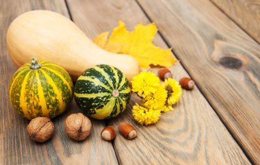 sonbahar kabaklar ve fındık