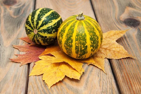 Herfst pompoenen met bladeren — Stockfoto