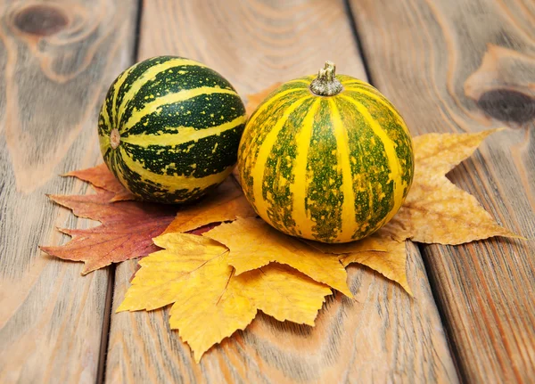 Autumn pumpkins and leaves — Stock Photo, Image