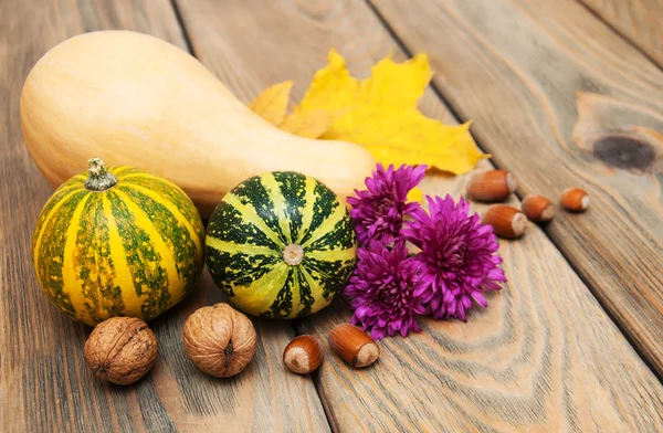 Calabazas de otoño con nueces —  Fotos de Stock