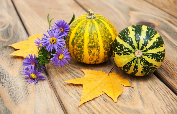 Autumn pumpkins and leaves — Stock Photo, Image