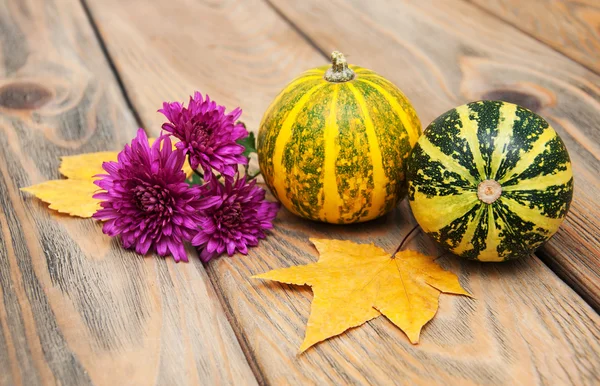 Herfstpompoenen en -bladeren — Stockfoto