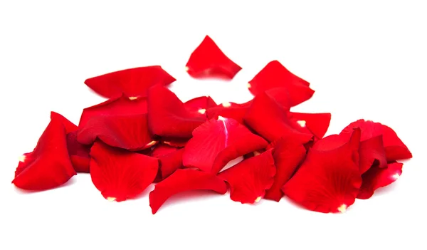 Red roses petals — Stock Photo, Image