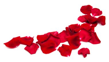 Kirmizi gül yaprakları