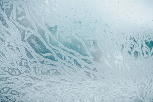 Janela Vidro Congelada Com Padrão Vegetal — Fotografia de Stock