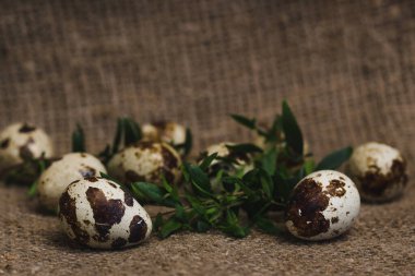 Kaba keten kumaş üzerinde bıldırcın ve yeşil dal