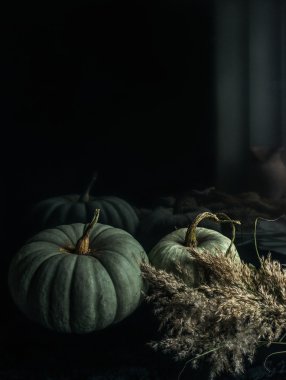 Kabak ile sonbahar naturemorte