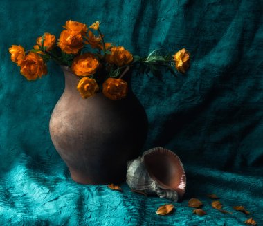 Trollius ve deniz kabuğu ile natürmort