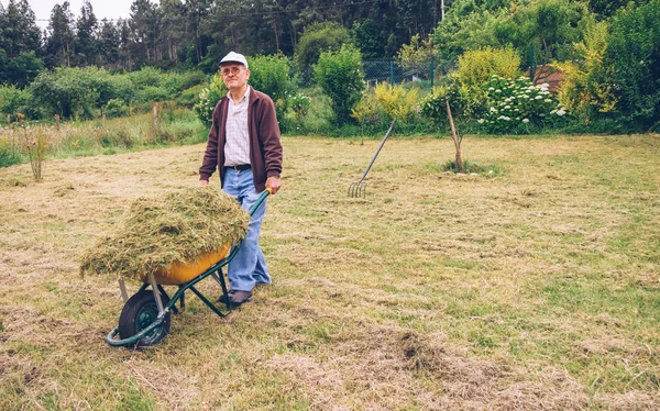 Senior man carrying wheelbarrow with hay on field — Stock Photo, Image