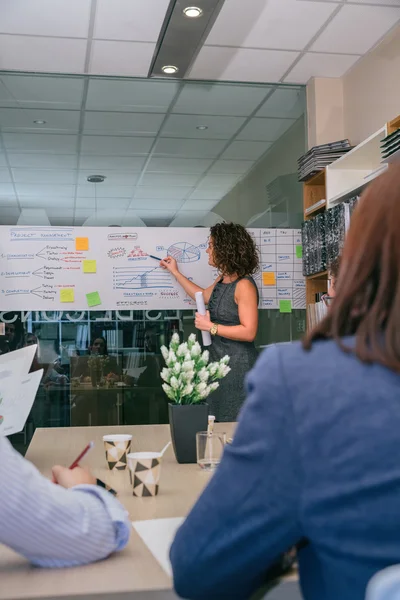 Entrenadora mostrando estudios de gestión de proyectos al equipo empresarial — Foto de Stock