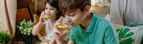 Jongen drinken zelfgemaakte limonade met zijn zus — Stockfoto