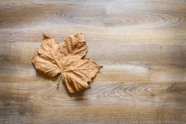 Hoja de otoño en un fondo de madera — Foto de Stock
