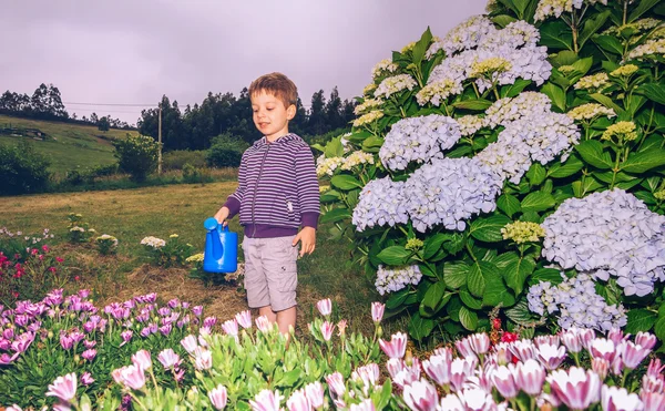 Niño feliz regando flores en el jardín —  Fotos de Stock