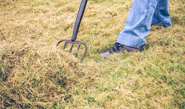 Senior man feet raking hay with pitchfork on field — Stock Photo, Image