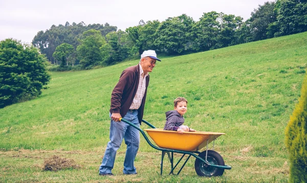 Senior man harken hooi met pitchfork op veld — Stockfoto