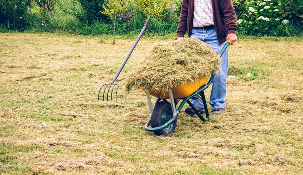 Hombre mayor llevando carretilla con heno en el campo — Foto de Stock