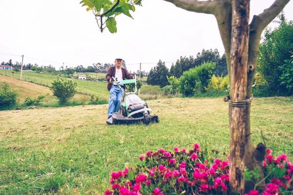 Senior man mowing the lawn with lawnmower — Stock Photo, Image