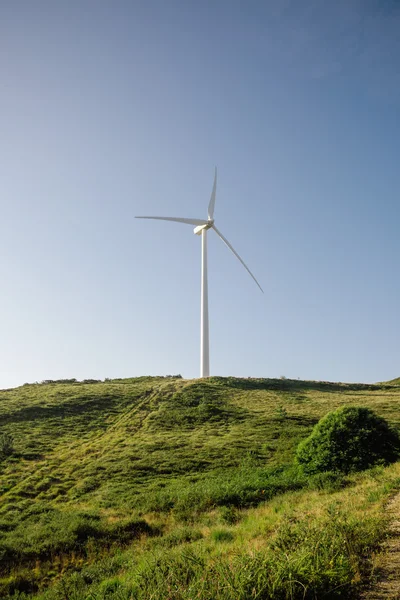 青い空を背景に電気を生成する風力タービン — ストック写真