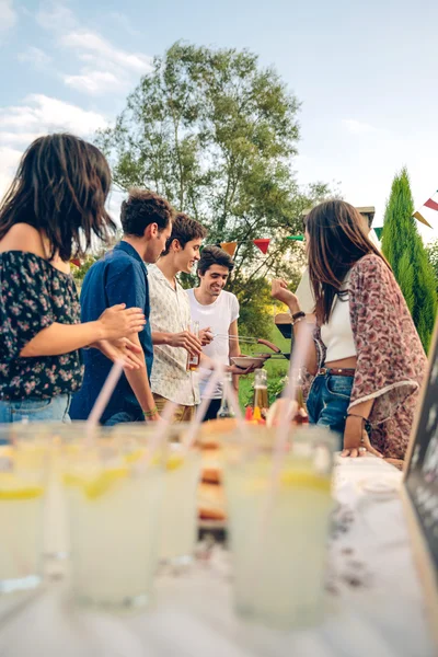 Grupo de amigos divirtiéndose en una barbacoa de verano — Foto de Stock