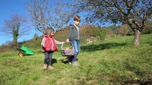 Happy children carrying wicker basket with apples harvest — Stock Video