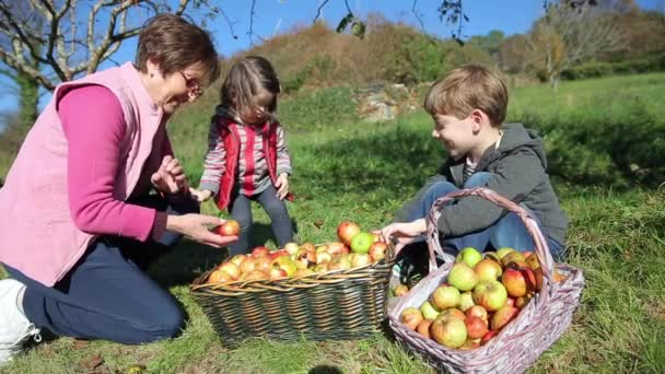 Kinderen en senior vrouw zetten appels in de mand — Stockvideo