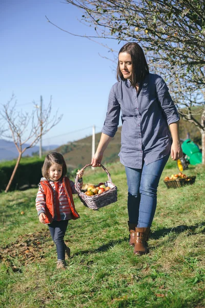 Woman and little girl carrying basket with apples — Stock Photo, Image