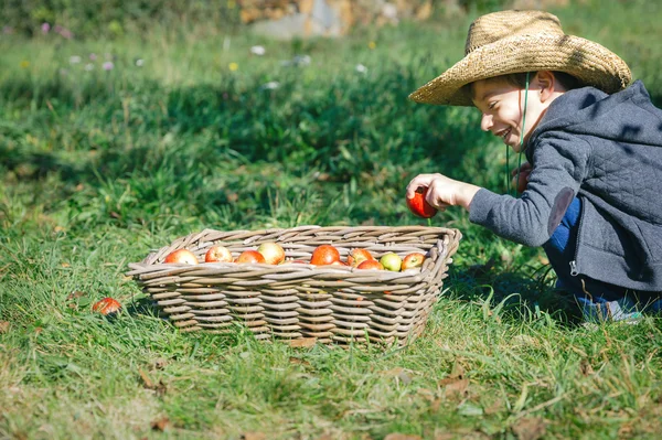 Happy kid putting apple in wicker basket with harvest — Stock Fotó