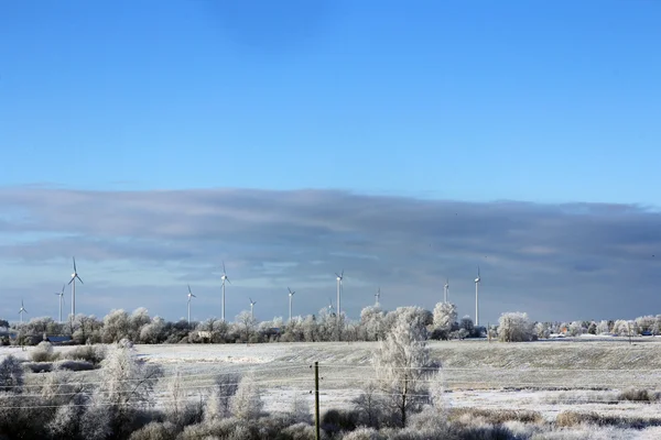 Красивый холодный зимний пейзаж с ветрогенераторами на заднем плане — стоковое фото