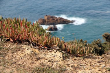 Güzel doğa ve Cabo Da Roca, Cape Roca Portekiz Atlantik Okyanusu peyzaj