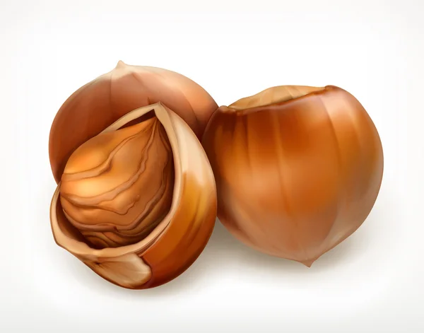 Hazelnuts in shell, vector icon — Stock Vector