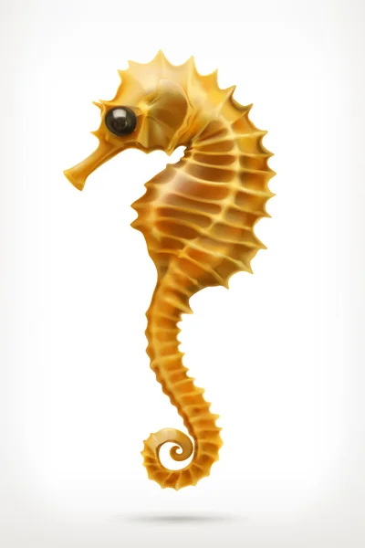 Seahorse, vector icon — Stock Vector