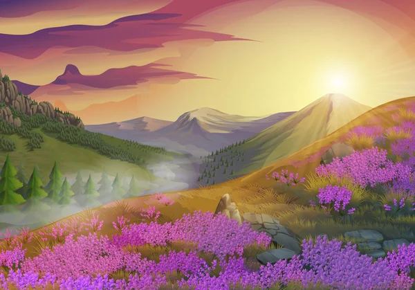 Lavendel, Sommerabend Landschaft, Vektorhintergrund — Stockvektor