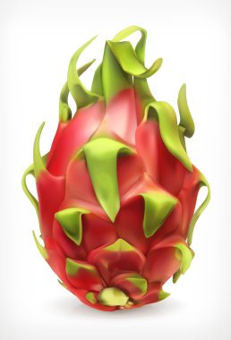 Pitaya, vektör simgesi
