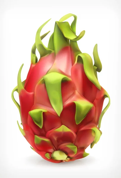 Pitaya, icono del vector — Vector de stock