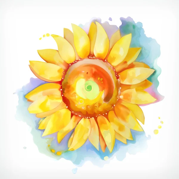 Akvarelu slunečnice — Stockový vektor