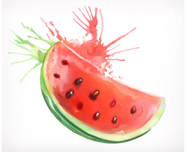 Akvarell festészet görögdinnye — Stock Vector