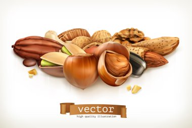 Nuts vector illustration clipart