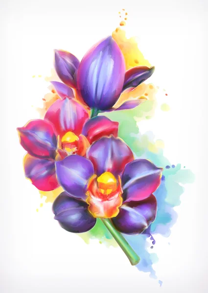 Belle orchidée, aquarelle peinture — Image vectorielle