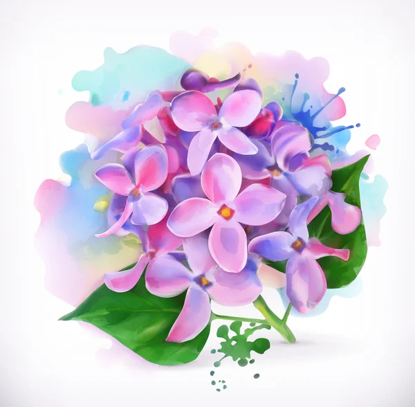 Lilac flowers, watercolor painting, mesh vector — Stock Vector