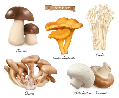 Yenilebilir mantarlar. Porcini, altın chanterelle, enoki, istiridye mantarı, cremini, beyaz düğme. 3d vektör gerçekçi nesneler ayarlandı. Yemek illüstrasyonu