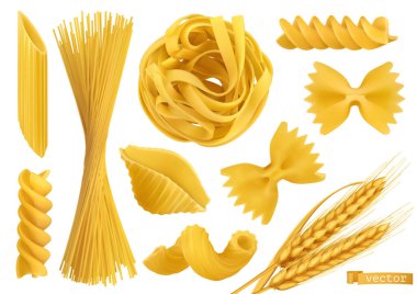 Makarna 3 boyutlu gerçekçi vektör nesneleri ayarlandı. Penne, fusilli, farfalle, tagliatelle, fettuccine, spagetti, cavatappi, conchiglie kabukları ve buğday. Yemek illüstrasyonu