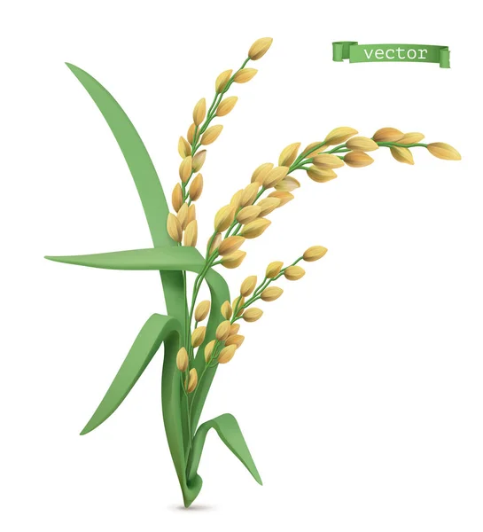 Reispflanze Realistisches Vektor Symbol — Stockvektor