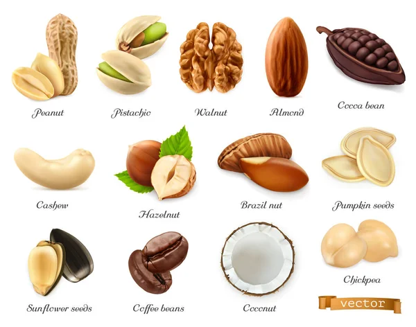 Nuts Seeds Beans Vector Realistic Objects Set Peanut Pistachio Walnut Stock Vector