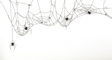 Spiders and spider web, vector set clipart