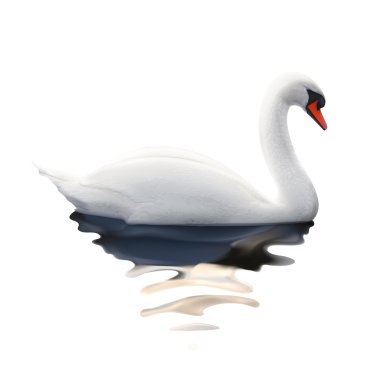 Swan, vektör çizim