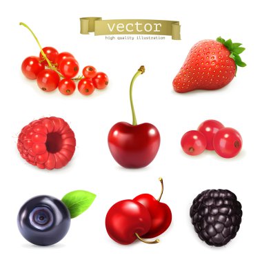 Sweet berries, vector illustration set of high quality clipart