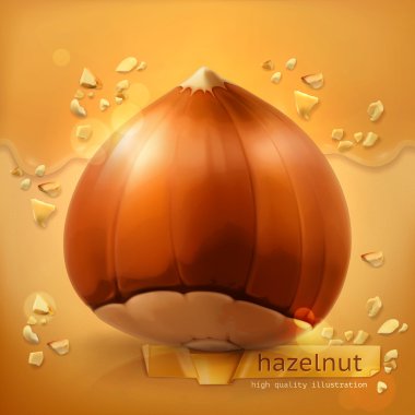 Hazelnut, vector background clipart