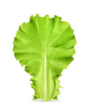 taze yeşil salata