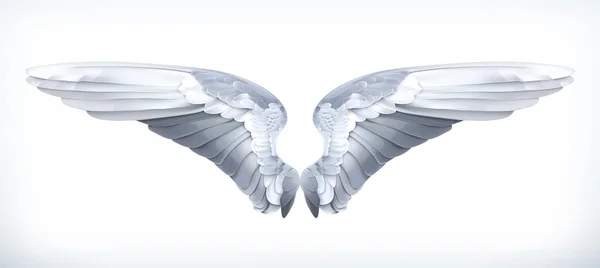Wings, vector illustration — Stock Vector