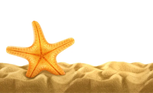 Zomer achtergrond, starfish in het zand, vectorillustratie — Stockvector